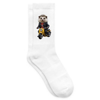 chaussettes_hérisson_scooter.jpg