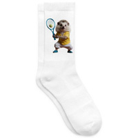 chaussettes_hérisson_tenis.jpg