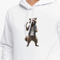 raton-laveur_chanteur_animaux_mignons.jpg