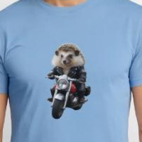 t-shirt_hérisson_motard.jpg