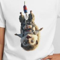 t-shirt_hérisson_saut_élastique.jpg